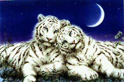 QUE  C'EST  BEAU  L'AMOUR ....