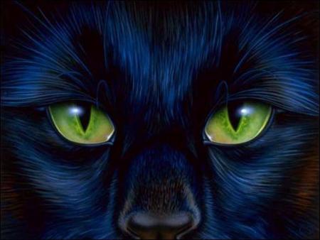 OH  c'est  yeux .