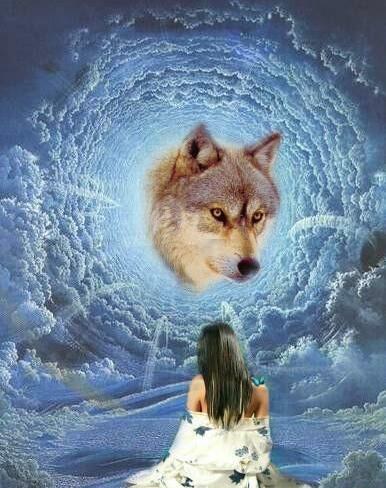 LA BELLE   et  la  BTE