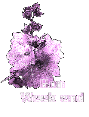   SUPER  WEEK-END   à  VOUS  TOUS et  TOUTES